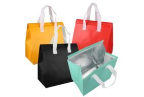 Cooler Bag